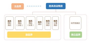 勝高Sego品牌營(yíng)銷(xiāo)案例總結(jié)